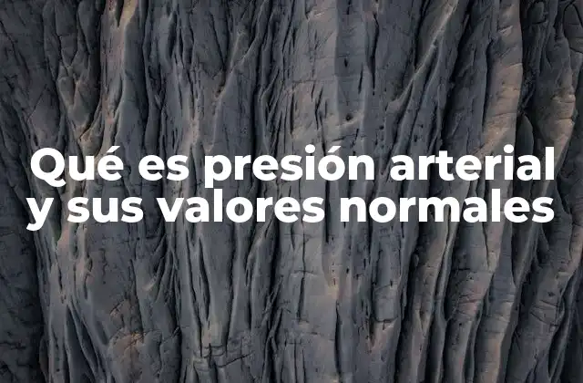 Qué es Presión Arterial y Sus Valores Normales