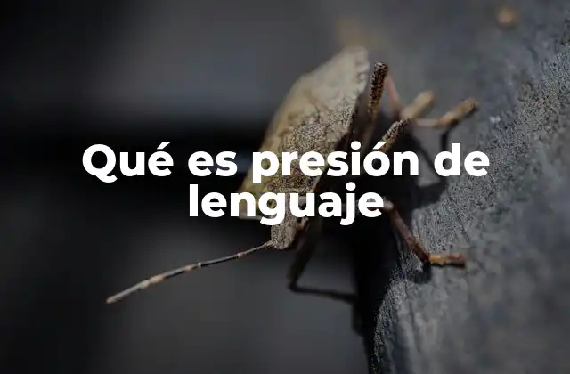 Qué es Presión de Lenguaje