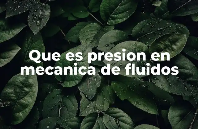 Que es Presion en Mecanica de Fluidos