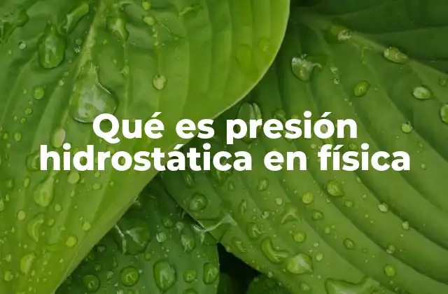 Qué es Presión Hidrostática en Física