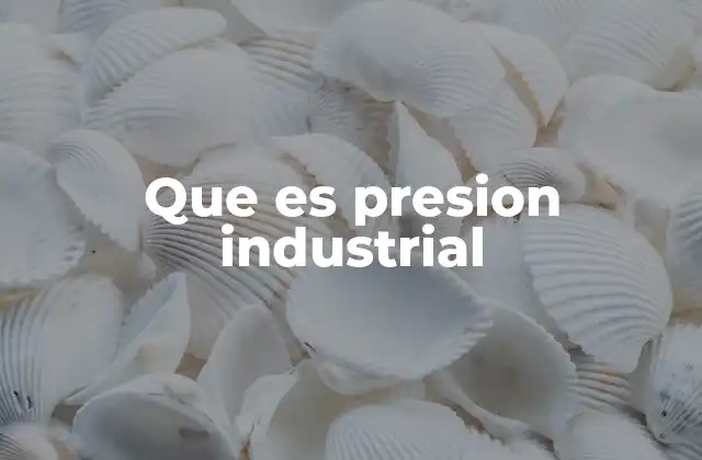 Que es Presion Industrial