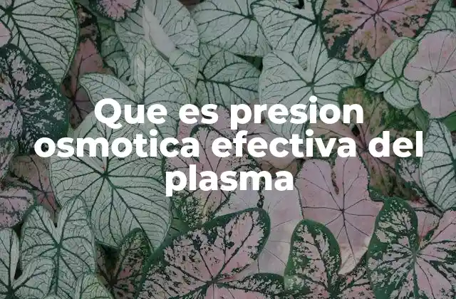 Que es Presion Osmotica Efectiva Del Plasma