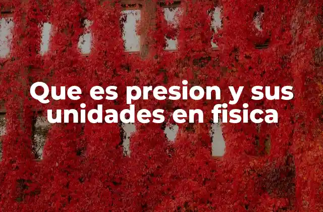 Que es Presion y Sus Unidades en Fisica