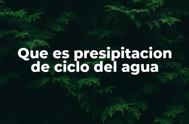 Que es Presipitacion de Ciclo Del Agua