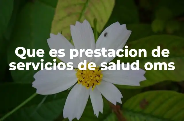 Que es Prestacion de Servicios de Salud Oms