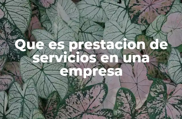 Que es Prestacion de Servicios en una Empresa