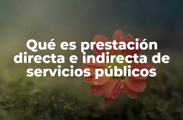 Qué es Prestación Directa e Indirecta de Servicios Públicos 2 Modelos de entrega de servicios esenciales en el Estado moderno