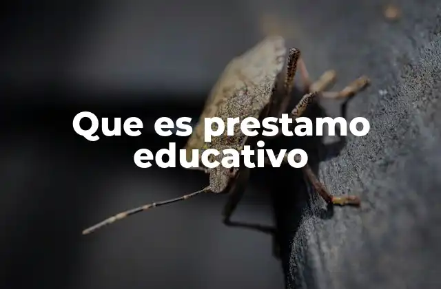 Que es Prestamo Educativo 2 Formas en que los préstamos educativos ayudan a los estudiantes