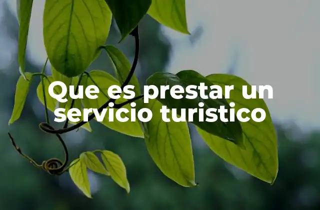 Que es Prestar un Servicio Turistico
