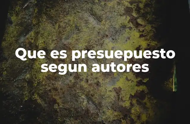 Que es Presuepuesto Segun Autores