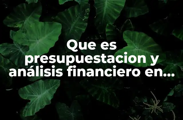 Que es Presupuestacion y Análisis Financiero en Contabilidad
