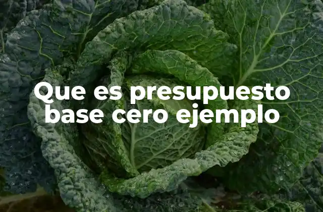 Que es Presupuesto Base Cero Ejemplo