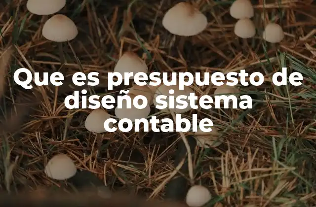 Que es Presupuesto de Diseño Sistema Contable