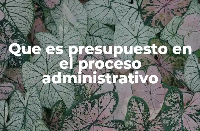 La importancia del presupuesto en la gestión empresarial