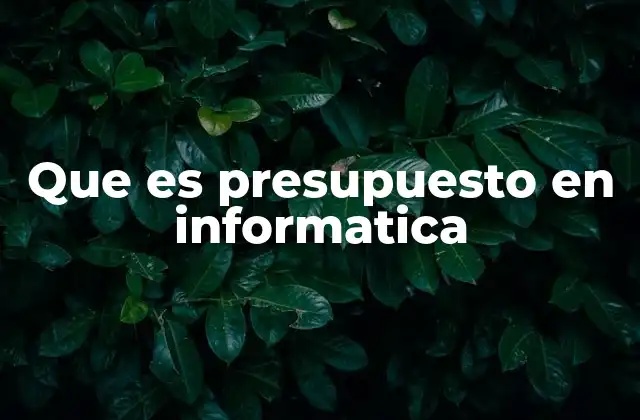 Que es Presupuesto en Informatica
