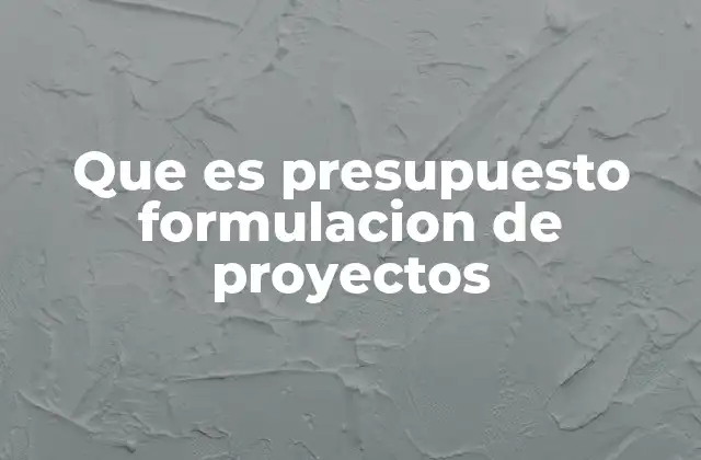 Que es Presupuesto Formulacion de Proyectos