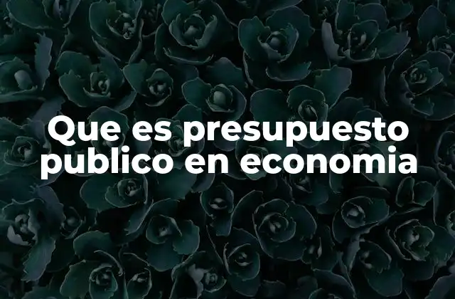 Que es Presupuesto Publico en Economia