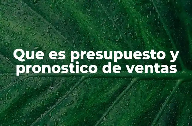Que es Presupuesto y Pronostico de Ventas