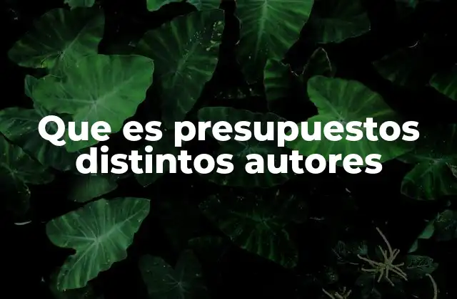 Que es Presupuestos Distintos Autores