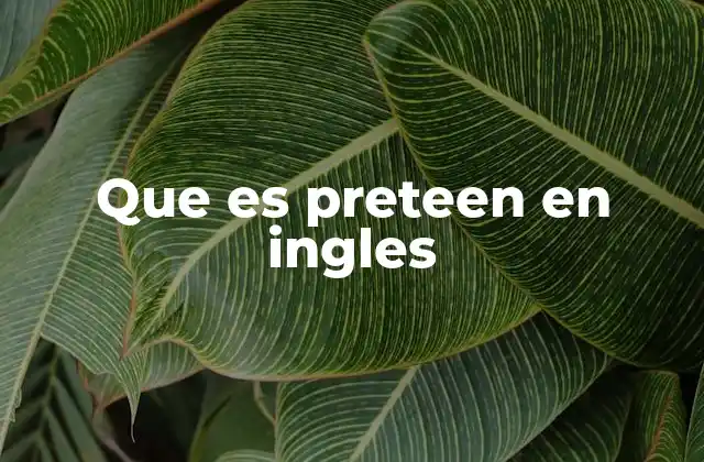 La importancia de entender el concepto de preteen