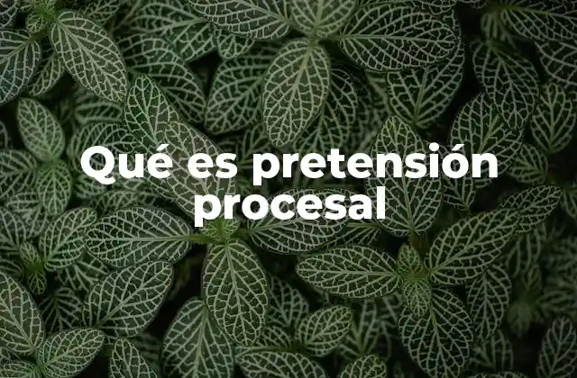 Qué es Pretensión Procesal