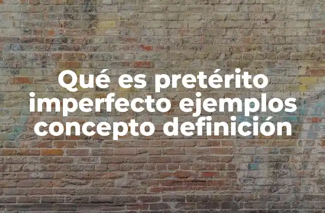 Qué es Pretérito Imperfecto Ejemplos Concepto Definición