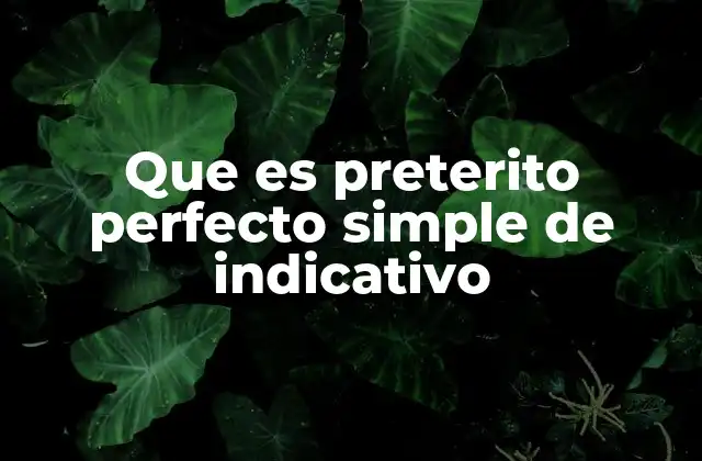 Que es Preterito Perfecto Simple de Indicativo