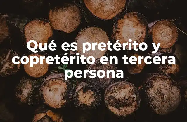 Qué es Pretérito y Copretérito en Tercera Persona
