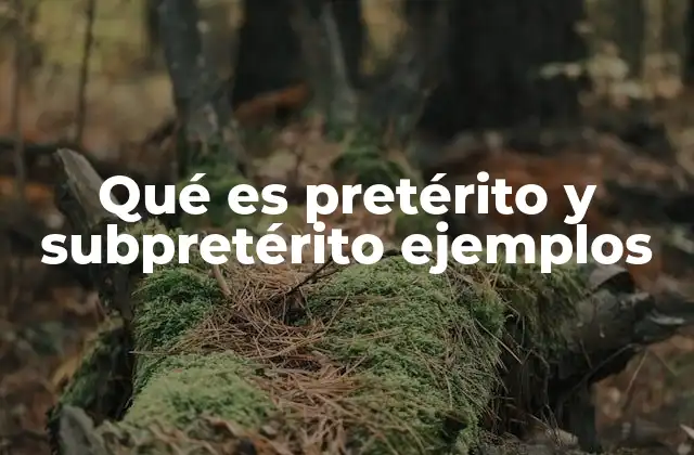 Qué es Pretérito y Subpretérito Ejemplos 2 Diferencias clave entre el pretérito y el subpretérito