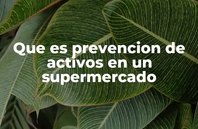 Que es Prevencion de Activos en un Supermercado 2 La importancia de proteger los recursos en el sector minorista