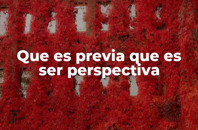 Que es Previa que es Ser Perspectiva