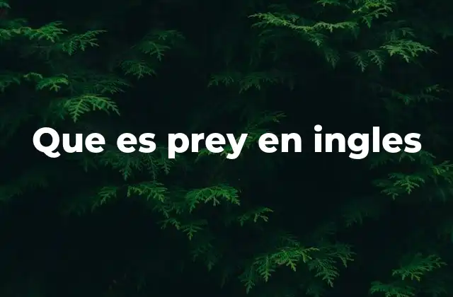 Que es Prey en Ingles