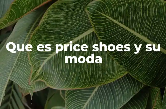 El impacto de Price Shoes en la moda urbana