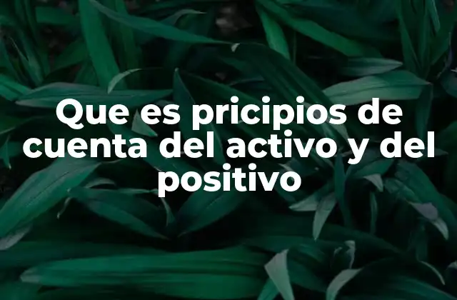 Que es Pricipios de Cuenta Del Activo y Del Positivo