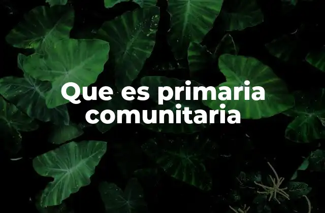Que es Primaria Comunitaria