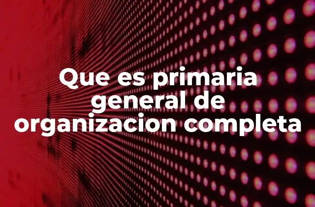 Estructura básica de una organización eficiente