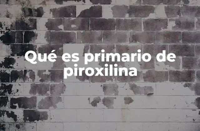 Qué es Primario de Piroxilina 2 Historia y evolución de los compuestos basados en piroxilina