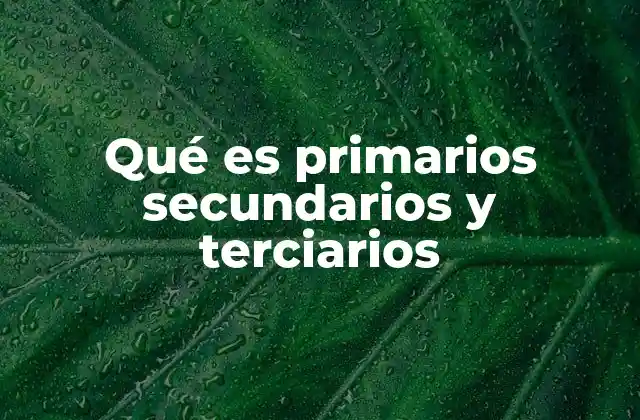 Qué es Primarios Secundarios y Terciarios