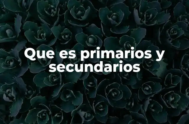 Que es Primarios y Secundarios