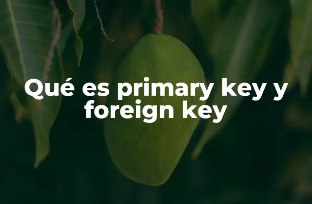 Qué es Primary Key y Foreign Key