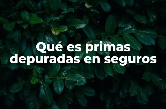 Qué es Primas Depuradas en Seguros
