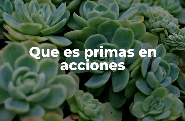 Que es Primas en Acciones
