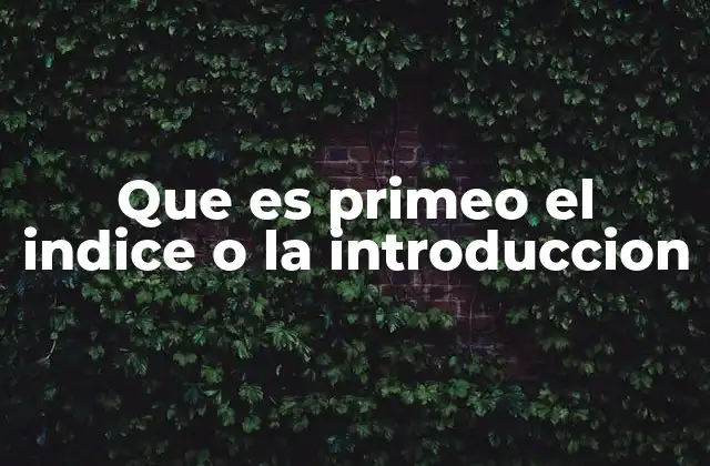 Que es Primeo el Indice o la Introduccion