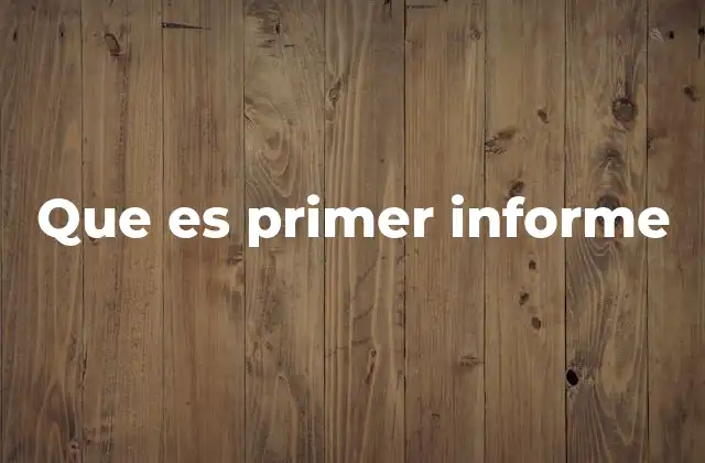 Que es Primer Informe