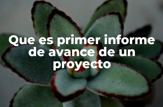 Que es Primer Informe de Avance de un Proyecto