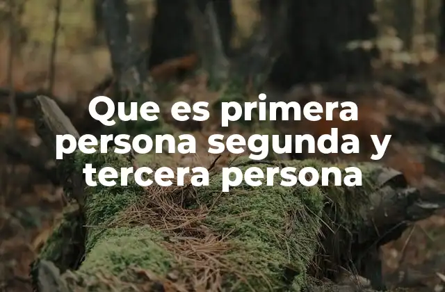 Que es Primera Persona Segunda y Tercera Persona