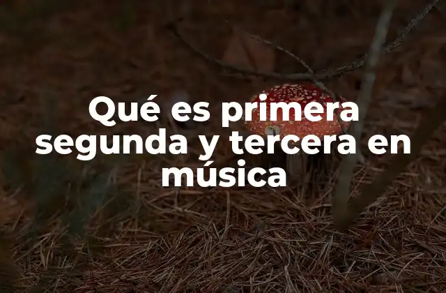 Qué es Primera Segunda y Tercera en Música