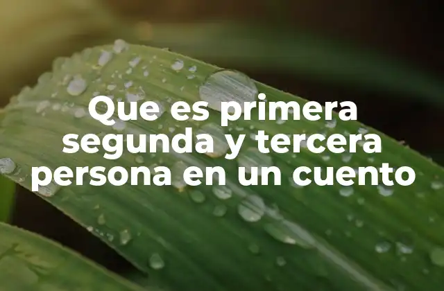 Que es Primera Segunda y Tercera Persona en un Cuento