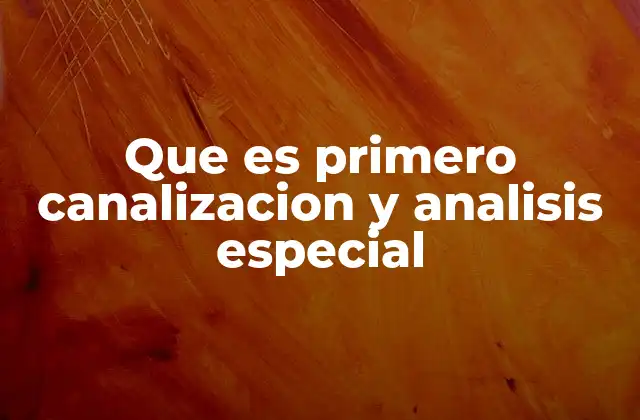 Que es Primero Canalizacion y Analisis Especial