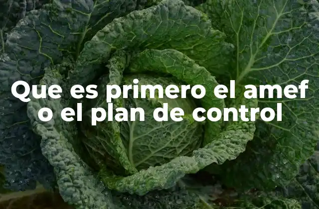 Que es Primero el Amef o el Plan de Control